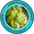 hop flower extract ingredient of Saba GLP-1